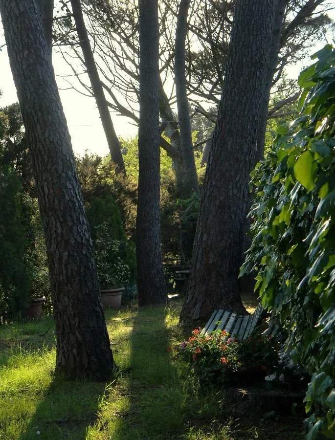 Villa La Sirena Luciano Italy